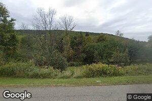 1077 Bailey Creek Rd, Millerton, PA 16936