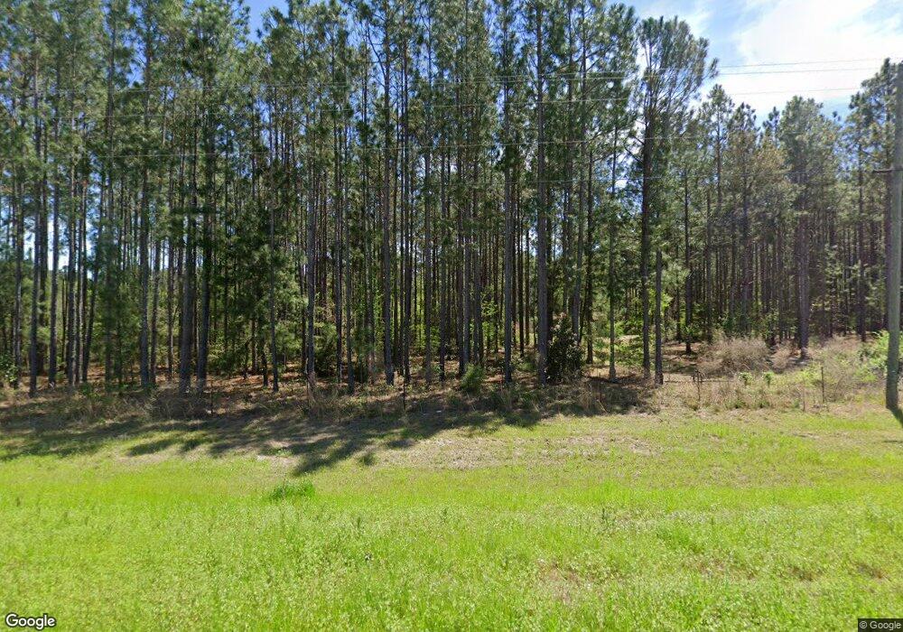 6390 Us Highway 319 N, Omega, GA 31775 - photo 1