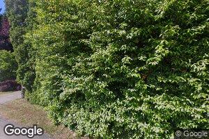 360 Shady Ln, Quilcene, WA 98376
