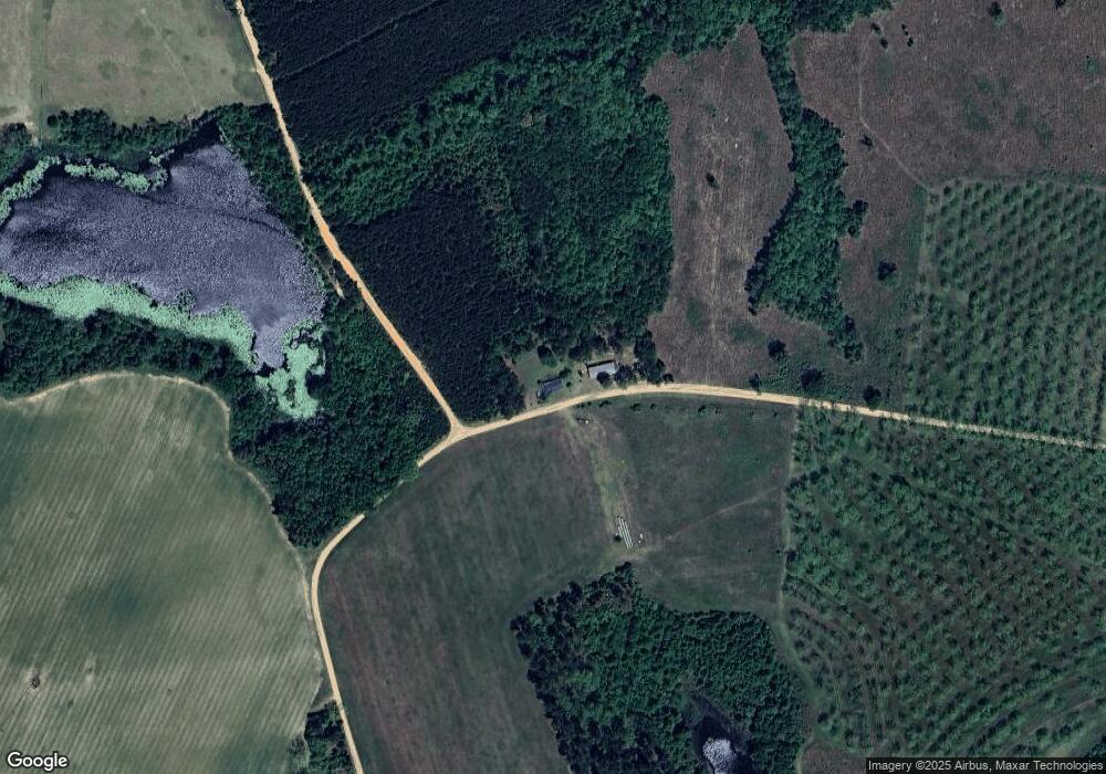 1001 Willie Sikes Rd, Claxton, GA 30417 - photo 1