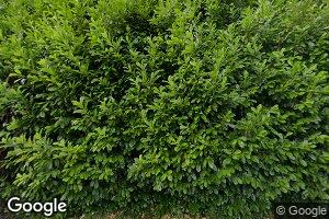 8311 SW Spruce St, Portland, OR 97223