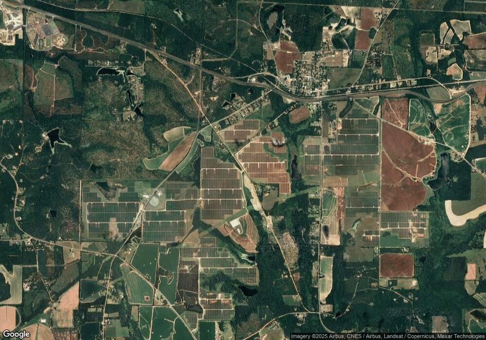 Lot #1 Harrell Mill Rd, Climax, GA 39834 - photo 1