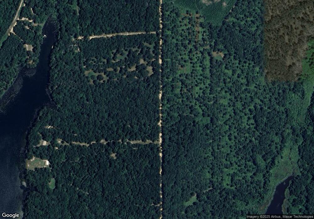 276 Strickland Rd, Attapulgus, GA 39815 - photo 1