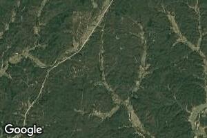 40 Madison 303, Marquand, MO 63655