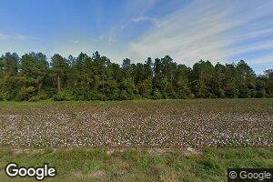 276 Lightsey Ln, Bristol, GA 31518