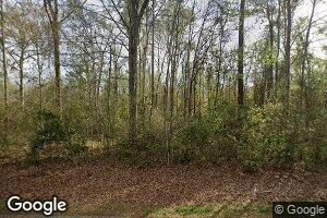 30020 Horseshoe Rd, Independence, LA 70443