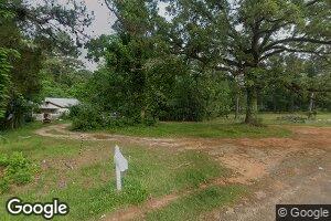 46 Silas Branch Rd, Silas, AL 36919