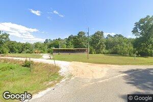 20 Charlie Dumas Rd, Millry, AL 36558