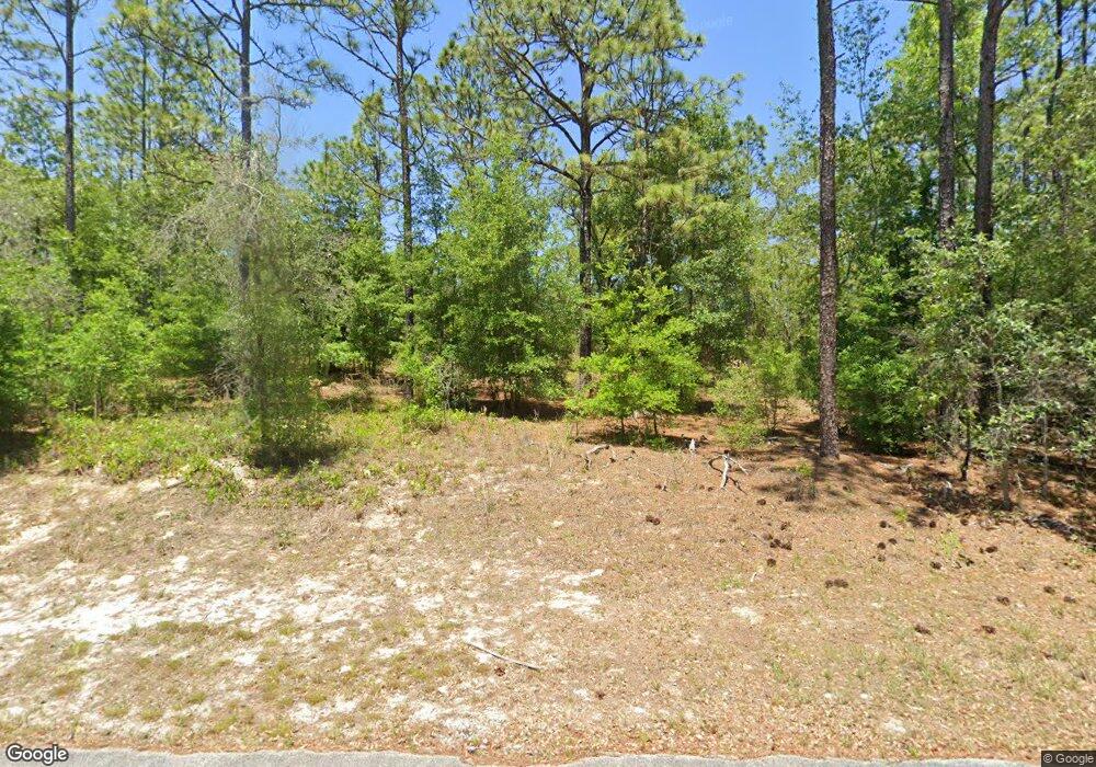 9181 SW 210th Cir, Dunnellon, FL 34431 - photo 1