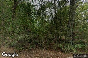 1215 Double S Mountain, Baileyton, AL 35019