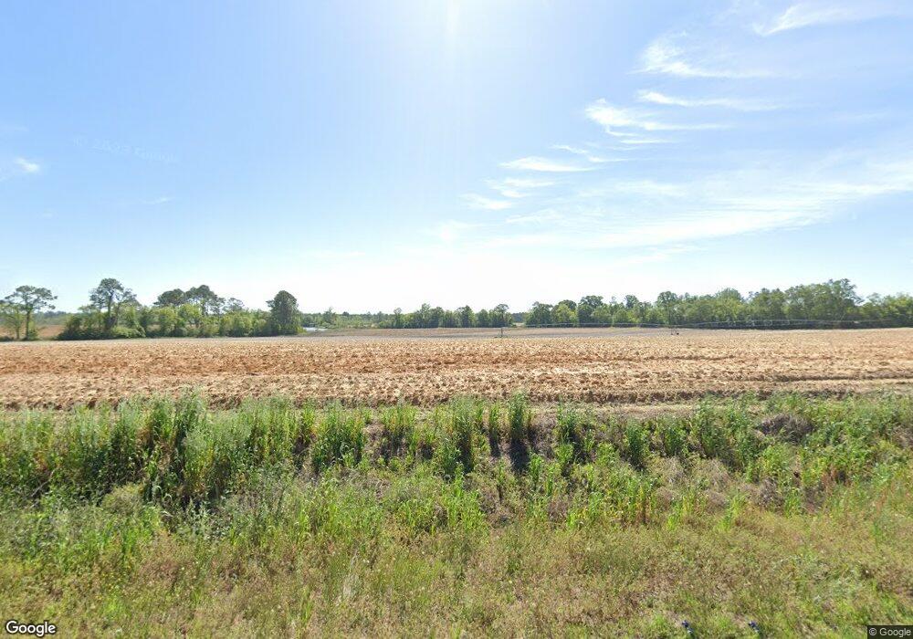 2617 Evergreen Rd, Doerun, GA 31744 - photo 1