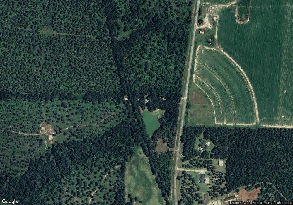 1026 Attapulgus Climax Rd, Climax, GA 39834 - photo 1