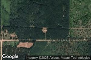 3210 E 36th St, Chase, MI 49623