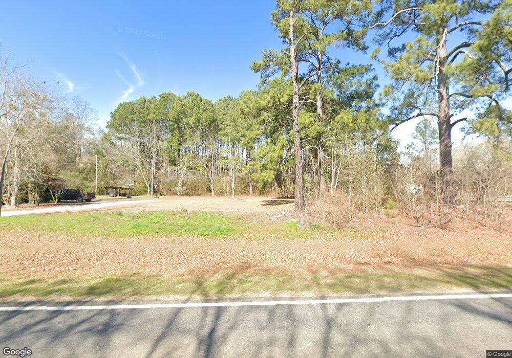 9131 Ga Highway 111, Meigs, GA 31765 - photo 1