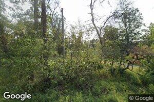 9169 S Forman Rd, Idlewild, MI 49642