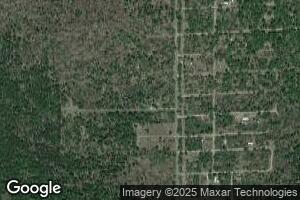 226 W Foster Rd, Idlewild, MI 49642