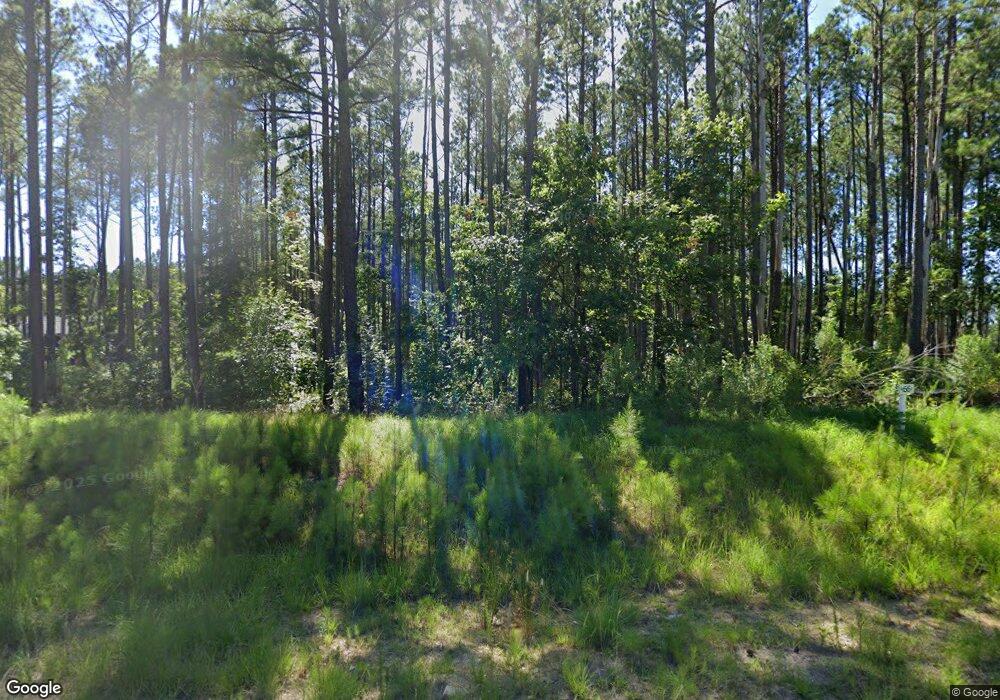 394 Anneliis Ln, Siler City, NC 27344 - photo 1