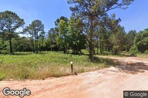 129 Amsterdam Rd, Attapulgus, GA 39815