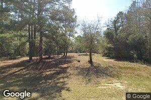 2252 County Line Rd E, Gibson, GA 30810