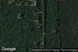 2922 Skidmore Rd, Brethren, MI 49619