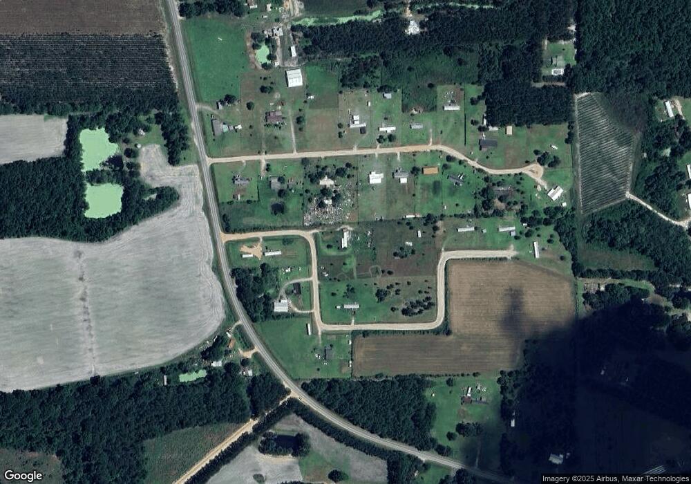 118 Trent River Rd, Alma, GA 31510 - photo 1