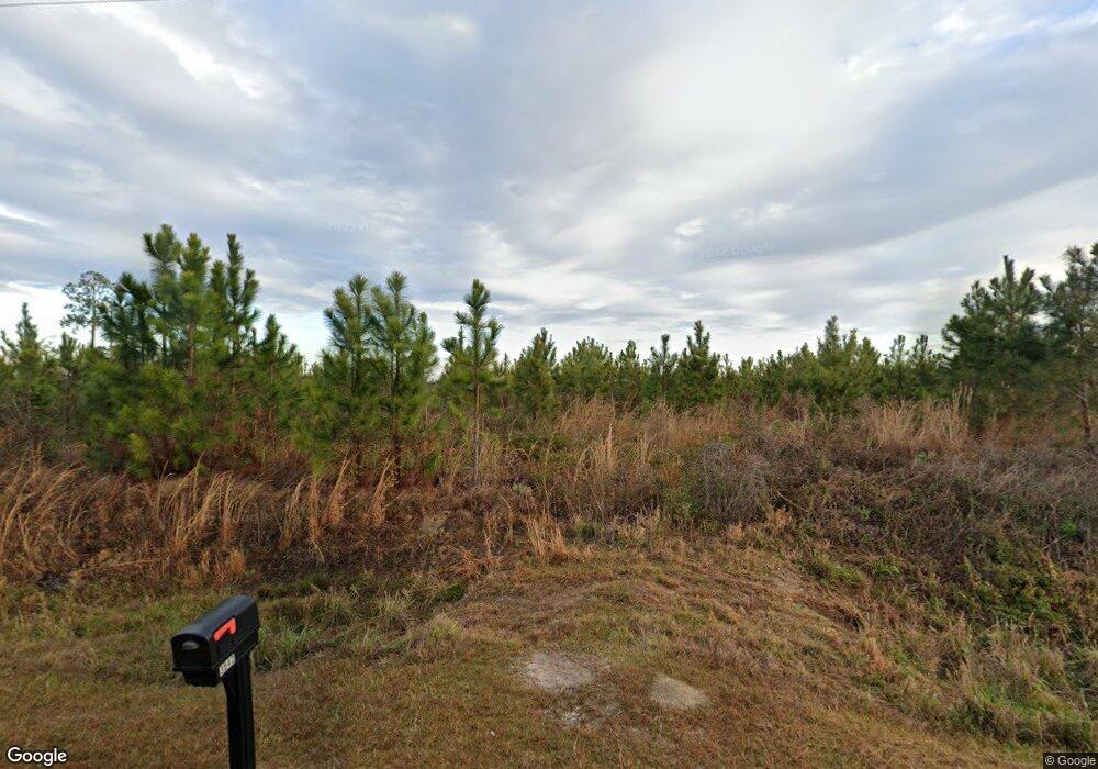 3542 Earnest Sumner Rd, Nashville, GA 31639 - photo 1