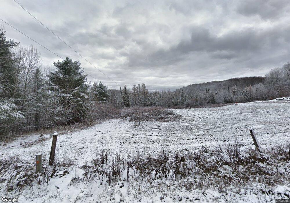 11332 Woodward Rd, Vanderbilt, MI 49795 - photo 1