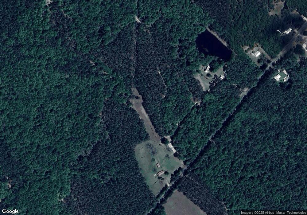 209 Jay Bird Springs Rd, Chauncey, GA 31011 - photo 1