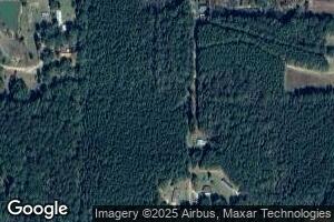214 Stanley Rd, Silas, AL 36919