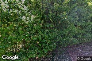 41 Alamo Way, Lagunitas, CA 94938