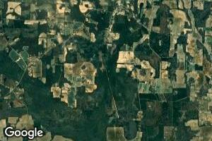 0 Sealy Wells Rd, Gordon, AL 36343