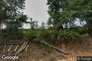 111 E Old Wire Rd, Butler, GA 31006