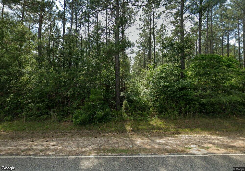 328 David Newton Rd, Norman Park, GA 31771 - photo 1