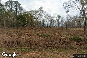 4212 County Road 59, Pine Apple, AL 36768