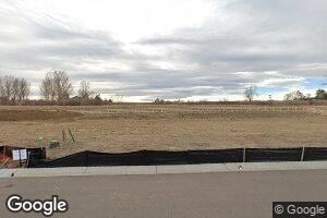 Elderberry, Johnstown, CO 80534
