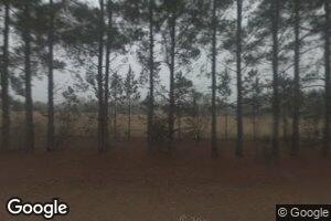 1211 Fe Beasley Rd, Claxton, GA 30417