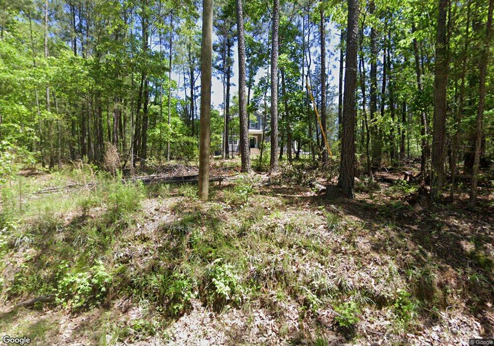 407 Haltiwanger Rd, Chapin, SC 29036 - photo 1