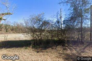 3045 Stage Rd, Meigs, GA 31765