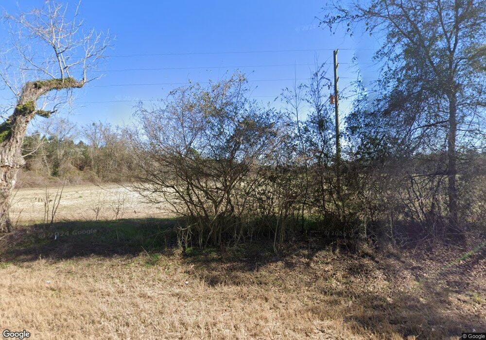 3045 Stage Rd, Meigs, GA 31765 - photo 1