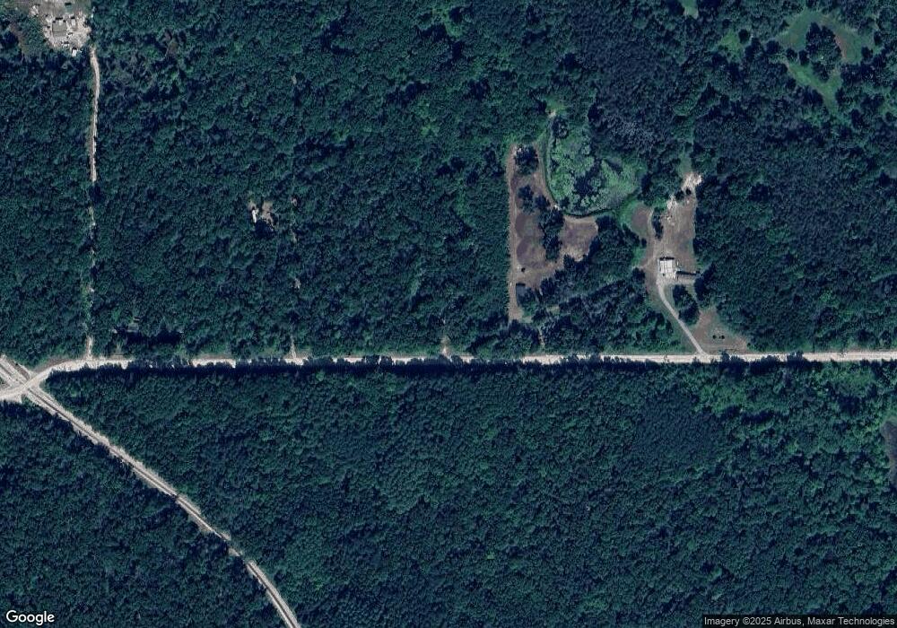 1135 Grant St, Bitely, MI 49309 - photo 1