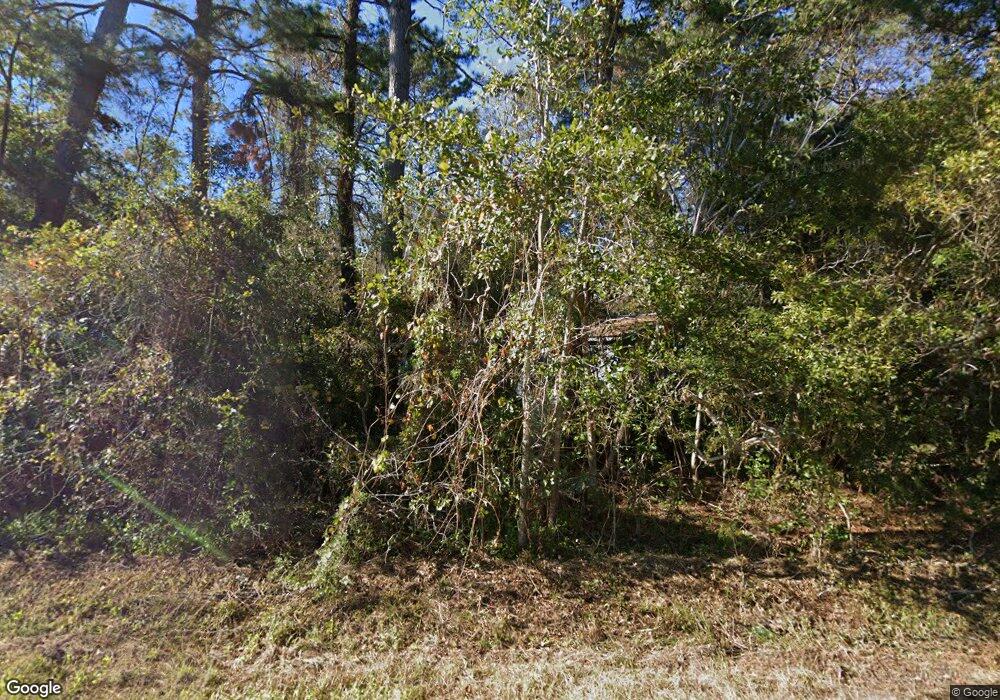 1294 Williamson Rd NE, Townsend, GA 31331 - photo 1