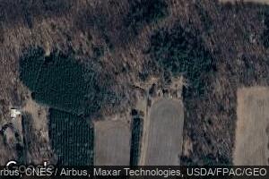 2545 N 130th Ave, Cadott, WI 54727