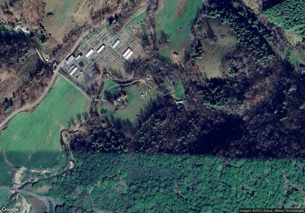 254 Circle East Ranch Rd, Burnsville, NC 28714 - photo 1