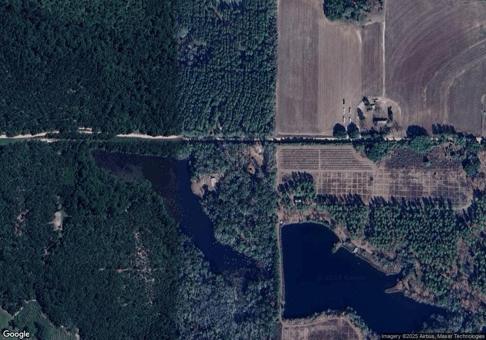 405 Mcclellan Rd, Pelham, GA 31779 - photo 1