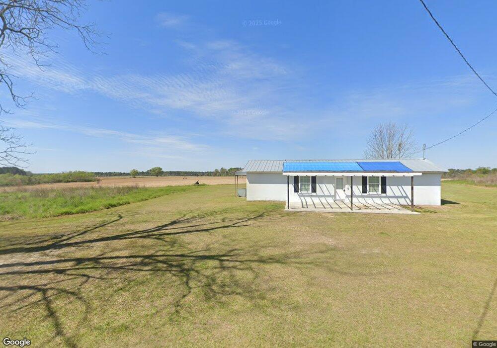 809 Holt Rd, Wray, GA 31798 - photo 1