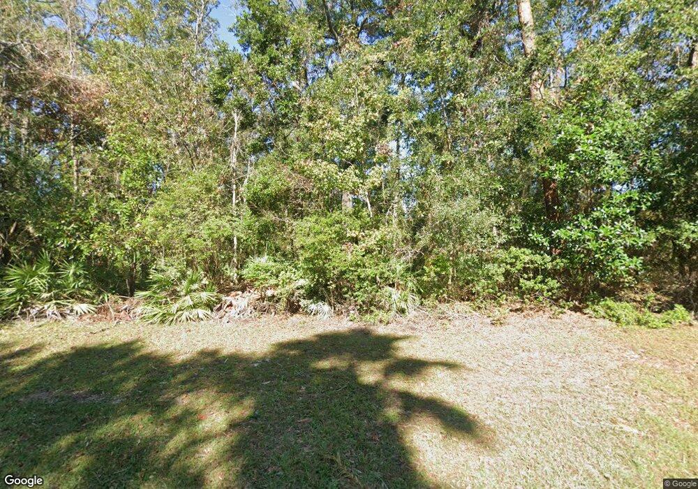 163 Cabbage Palm Trail, Brunswick, GA 31520 - photo 1