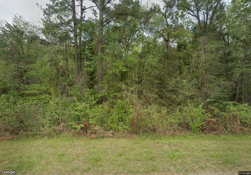 593 Palmer Rd, Pelham, GA 31779 - photo 1