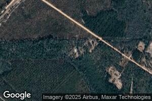 1234 Bennett Rd, Screven, GA 31560