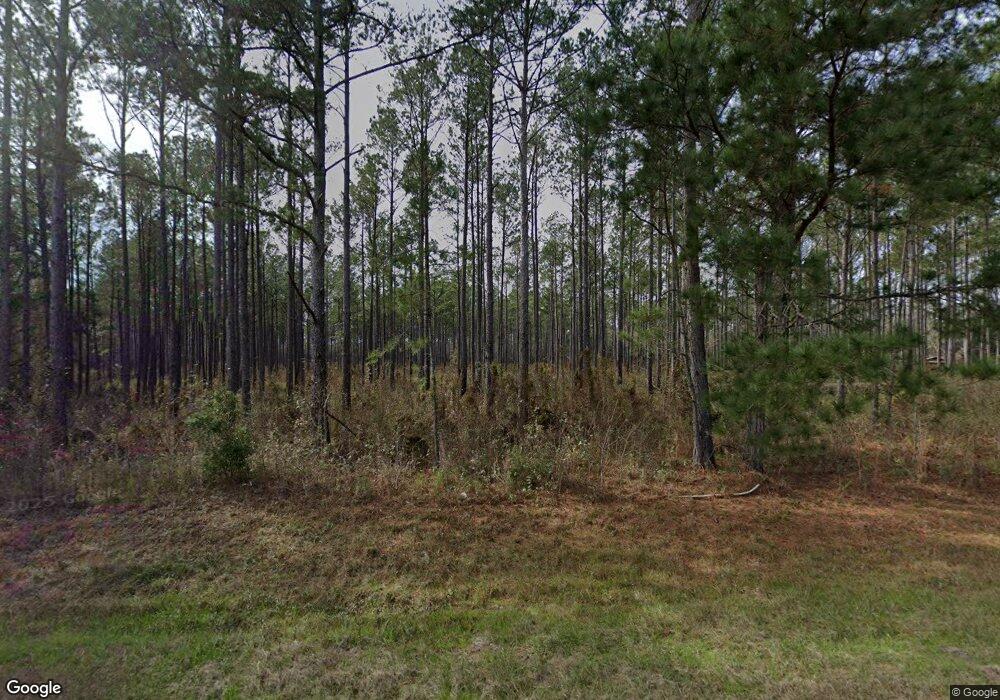 887 Bryant Rd, Cairo, GA 39828 - photo 1