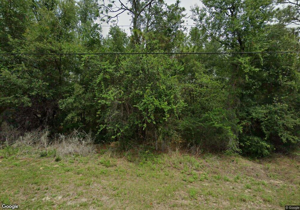 1443 E Bismark St, Hernando, FL 34442 - photo 1